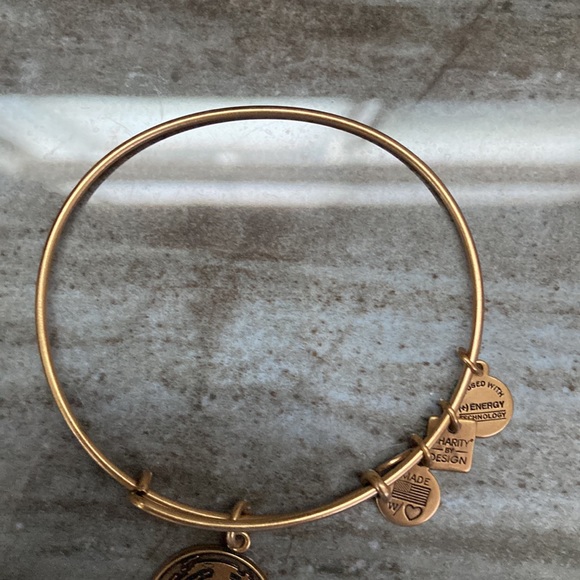 Alex And Ani World Globe Map Bangle Bracelet - Picture 3 of 8
